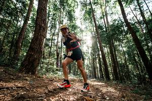 BIB: 
                            <button type="button" onclick="openModal(25261399)" class="btn btn-primary btn-sm float-right btn-popup" data-toggle="modal" data-target=".modal-high-quality">
                        <i class="fas fa-shopping-cart"></i> Add to Cart
                    </button>
                                            <button type="button" onclick="isThisMe(25261399, true)" class="btn btn-success btn-sm float-right btn-popup btn-isme hidden" data-toggle="tooltip" data-placement="bottom" title="นี่คือรูปของคุณใช่ไหม คลิกที่นี่เพื่อเอาเข้าอัลบั้ม">
                        <i class="fas fa-plus"></i> Add to album
                    </button>
                    <button type="button" onclick="isThisMe(25261399, false)" class="btn btn-warning btn-sm float-right btn-popup btn-isnotme hidden">
                        <i class="fas fa-ban"></i> Remove from album
                    </button>